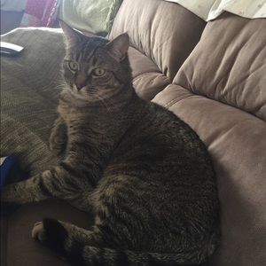 Meet your Posher, Tracy